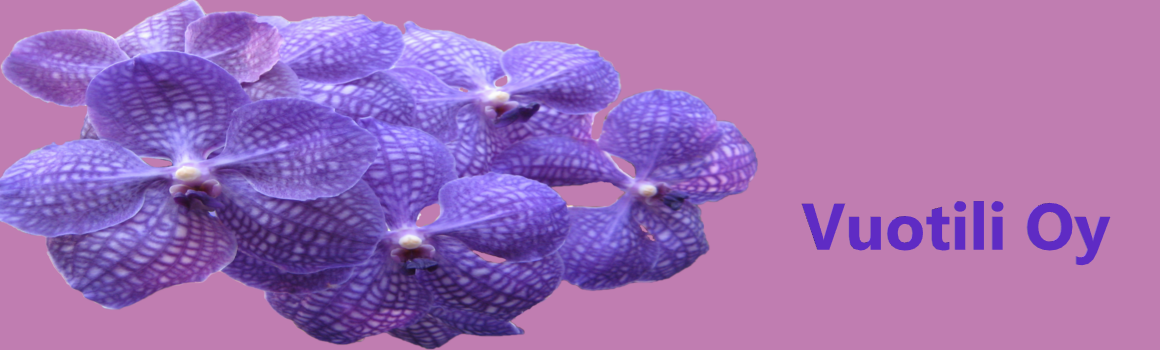 cropped-VuotiliOy2.png