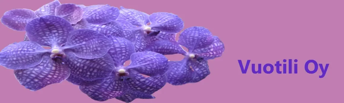 cropped-VuotiliOy2.webp